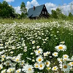 Waliszow