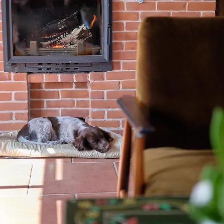 Waliszow Дом отдыха Nowy Waliszow