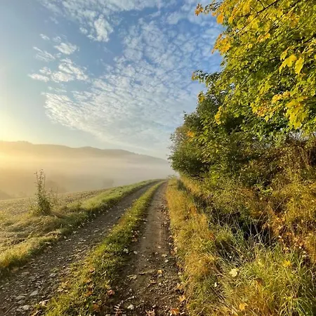 Дом отдыха Waliszow Nowy Waliszow