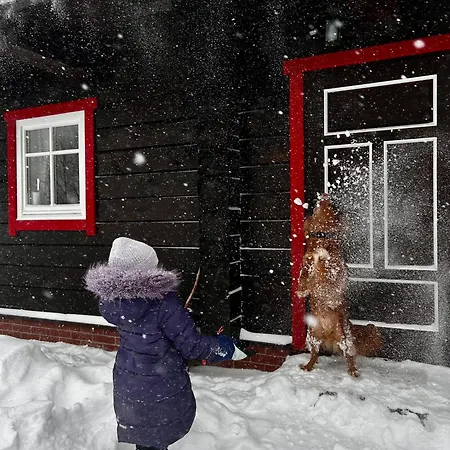 Дом отдыха Waliszow Nowy Waliszow