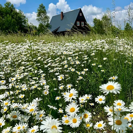 Waliszow