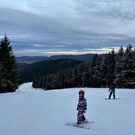 Waliszow Nowy Waliszow