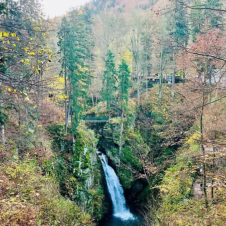 Дом отдыха Waliszow