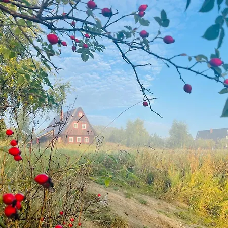 Waliszow Casa vacanze