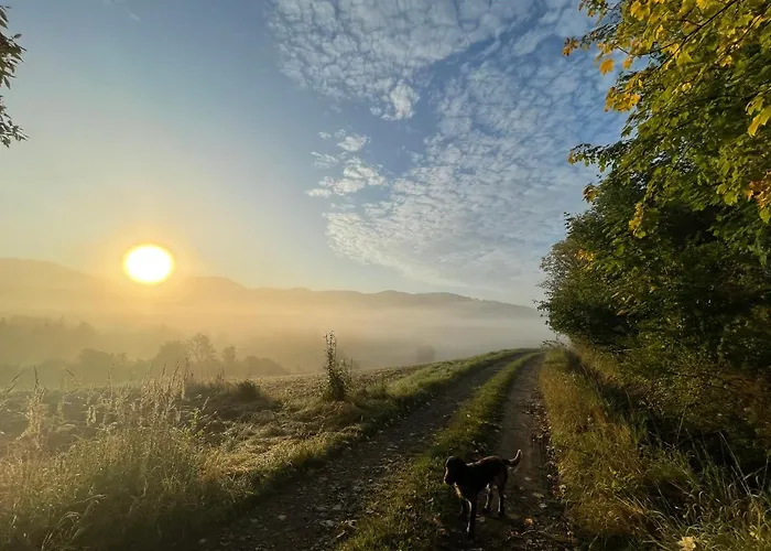 Waliszow Nowy Waliszow