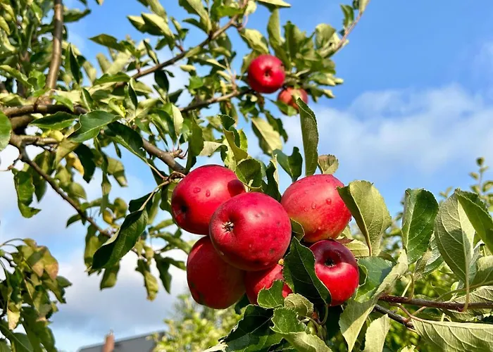 Waliszow Holiday home Nowy Waliszow