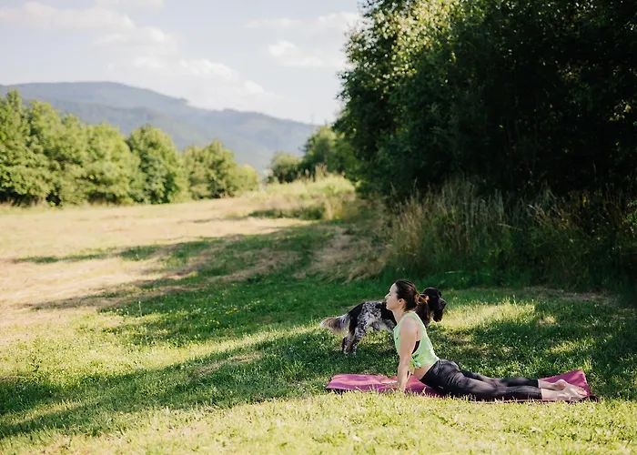 Waliszow Holiday home *