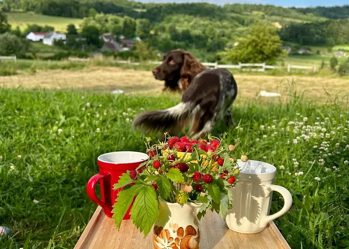 Waliszow Holiday home